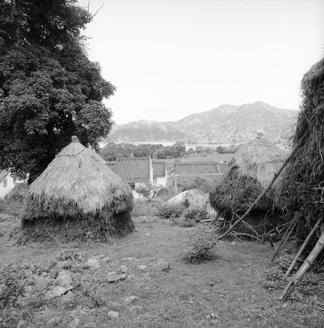 This photo was taken in 1976, when Lai Chi Wo was already in decline.